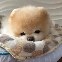 Angelleeww