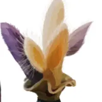 Yanf