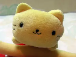 王貓