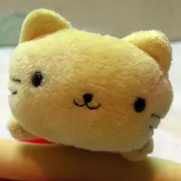 王貓