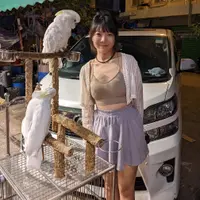 jbmaunier yip