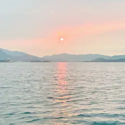 莉莉13