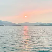 莉莉13