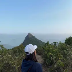 sharynli