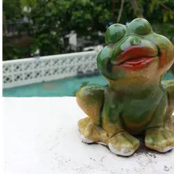 v小松鼠
