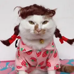 KeiKeiHo