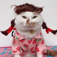 KeiKeiHo