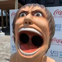 進口的巨人