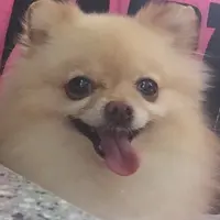 Jojo611719
