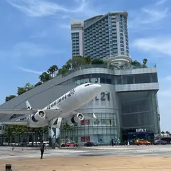 金婆婆