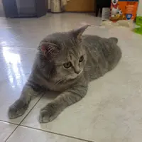 Kellala so