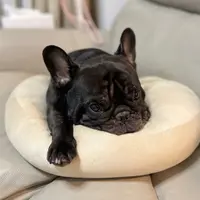 loyiushun