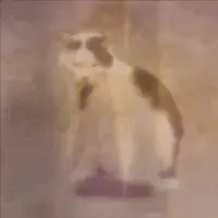 wchingl