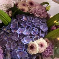 Lily57