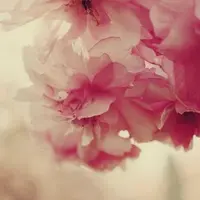 luvbabe25