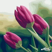 雀斑妹