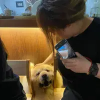 mano_o