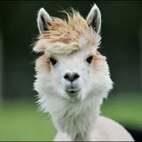 louis1gackt2
