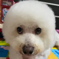 久保嘉晴