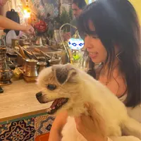 Kitty sweetie