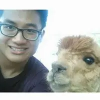 tommyfong2004