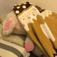 fishflag