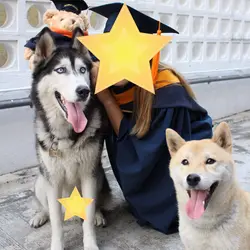 SeasonChan