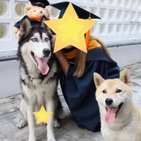 SeasonChan