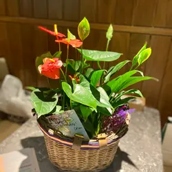 DeonChan3740