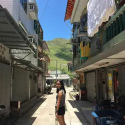 KristyWong3554