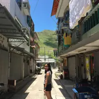 KristyWong3554