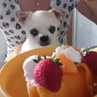 黄小茹