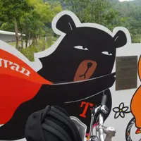 屎忽桃