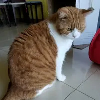 EddieEtTsang