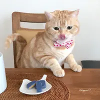 PoYeeTsang