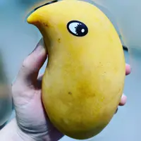 ChingChingHui