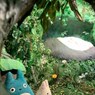 月兔子