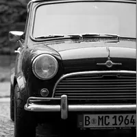 KelvinNg2995