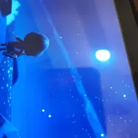 朱脷脷