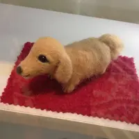 智型食客