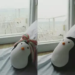 格雷企鵝