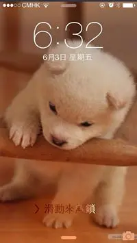 KaManLeung6223