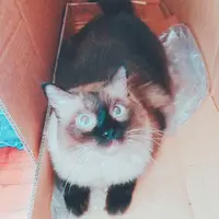EddieAu1997