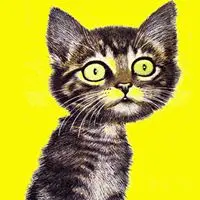 金大猫 