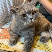 食食食我最鐘意食