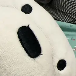 走遍舌尖上的香港