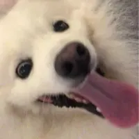 heymenn