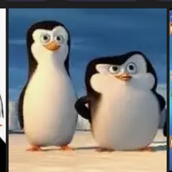 penguinar