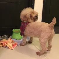 jobie.foodie
