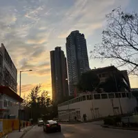 杨嘉欣9308